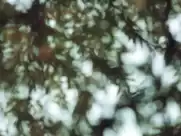 Jenz - Schnick Schnack Schnuck (2015)