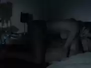 Alexandra Gentil - Les animaux ne s'enterrent pas (2015)