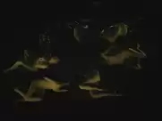 Julie-Marie Parmentier - Evolution