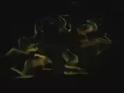 Julie-Marie Parmentier - Evolution