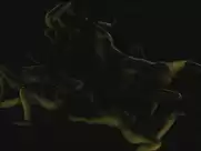 Julie-Marie Parmentier - Evolution