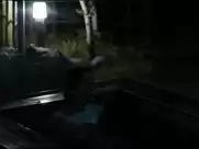 Sawa Masaki - Le Coeur Regulier