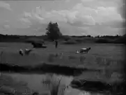 Tove Maës - Ditte Menneskebarn (1946)