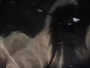 Jenny Agutter - Walkabout (1971)