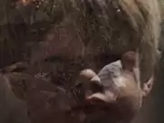 Jenny Agutter - Walkabout (1971)