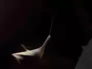 Hayley Atwell - The Pillars of The Earth s01 (2010)