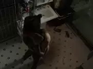 Sarah Wayne Callies - Colony s01e03 (2016)