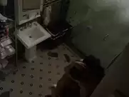 Sarah Wayne Callies - Colony s01e03 (2016)