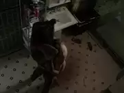 Sarah Wayne Callies - Colony s01e03 (2016)