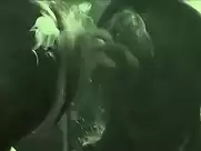 Paz de la Huerta - 5 Up 2 Down (2006)