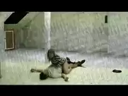 Bolette Engstrøm Bjerre - Voyeur (2016)