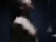 Lilith Stangenberg - Wild (2016)