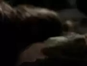 Marie-Ange Casta - Punk