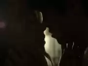 Adele Haenel nude and sex scenes