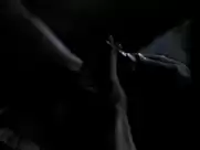 Katie Aselton nude scene Black Rock (2012)