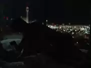 Imogen Poots - Frank & Lola (2016)