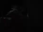 Imogen Poots - Frank & Lola (2016)