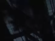 Anna Tsukanov-Kott, Sofia Lebedeva, Lubov Sokolinskaya