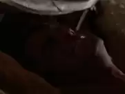 Sharon Stone - Basic Instinct (1992)