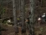 Talitha Luke-Eardley - Wrong Turn 6 (2014)