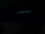 Malin Akerman – Watchmen (2009)