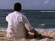 Alexandra Paul - Baywatch: Hawaiian Wedding (2000)