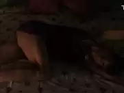 Alexandra Paul - Murder.com (2008)