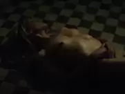 Marina Fois - Irréprochable (2016)