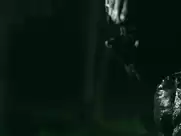 Brandy Mason - Don't Fuck in the Woods