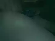 Brandy Mason - Don't Fuck in the Woods