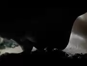 Anna Friel, Michelle Williams, Marianne Denicourt - Me Without You (2001)