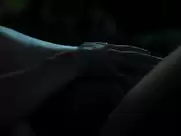 Christina Ricci - Z : The Beginning Of Ever (s01 2016)