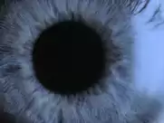 Anne Heche - Psycho (1998)