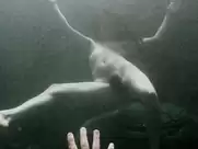 Juliette Lewis - Blueberry (2004)