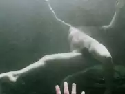 Juliette Lewis - Blueberry (2004)