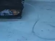 Erin Ryan - Skinless (2013)