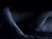 Emily Mortimer, Therese Bradley - Young Adam (2003)