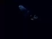 Emily Mortimer - Young Adam (2003 - DVD Uncut)