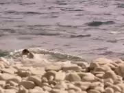 Natalie Portman - Planetarium (2016)