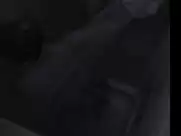 Jamie Bernadette, Erica Overholt - Elder Island (2016)