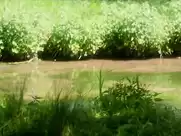 Marie Gillain - Le Bossu  (1997)