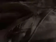 Demi Moore, Lisa Joliffe-Andoh - The Scarlet Letter (1995)