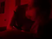 Dylan Penn - Condemned (2015)