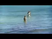 Victoria Carmen Sonne - Sombra