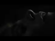 Victoria Carmen Sonne - I Blodet