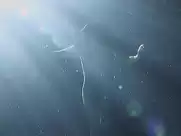 Caroline Ducey, Christine Boisson - I Dreamt Under The Water