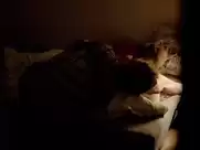 Luise Heyer-Spreewaldkrimi - Die Sturmnacht