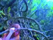 Gry Bay - Homo Sapiens Sapiens