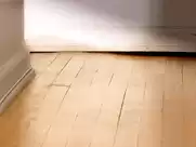 Krista Ayne - Bad Biology (2008)