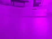 Krista Ayne - Bad Biology (2008)